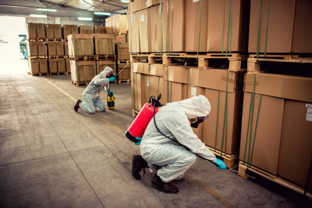Best Affordable Pest Control Services  in South El Monte, CA
