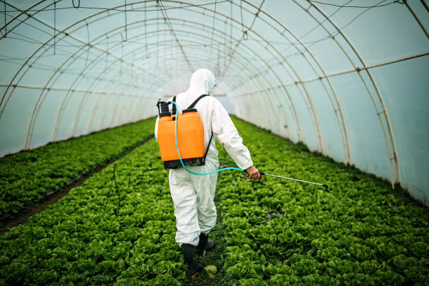 Pest Control for Restaurants in South El Monte, CA