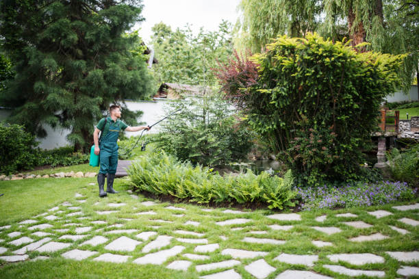 Best Residential Pest Control  in South El Monte, CA