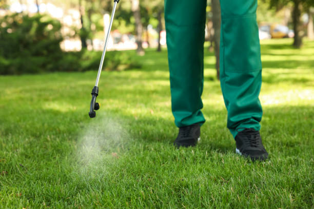 Best Pest Inspection Near Me  in South El Monte, CA