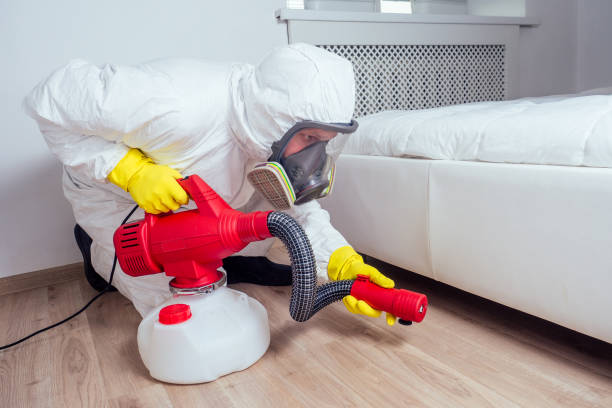 Best Commercial Pest Control Services  in South El Monte, CA