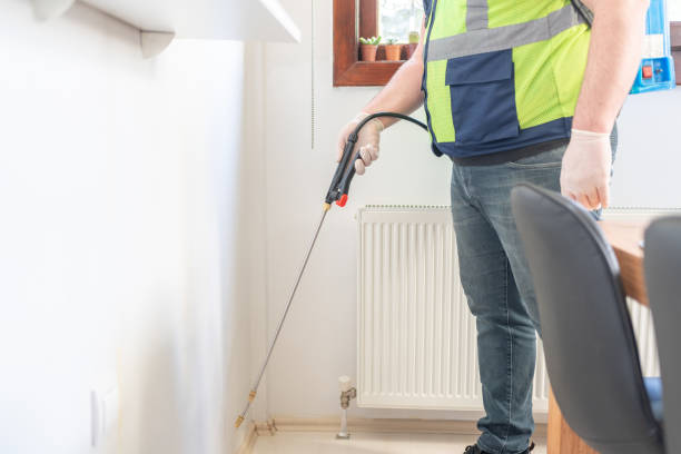 Best Insect Control  in South El Monte, CA